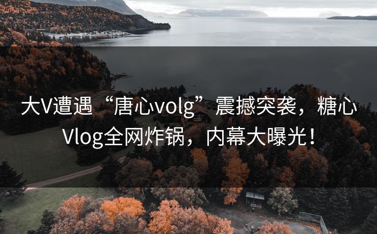大V遭遇“唐心volg”震撼突袭,糖心Vlog全网炸锅,内幕大曝光! 大V遭遇“唐心volg”震撼突袭,糖心Vlog全网炸锅,内幕大曝光!