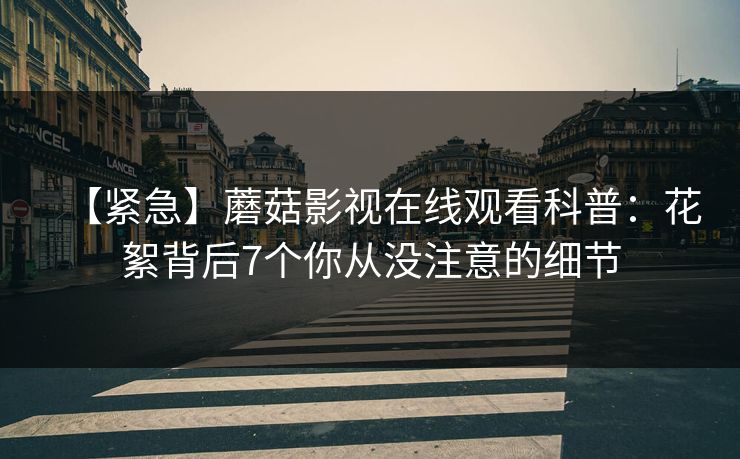 【紧急】蘑菇影视在线观看科普：花絮背后7个你从没注意的细节